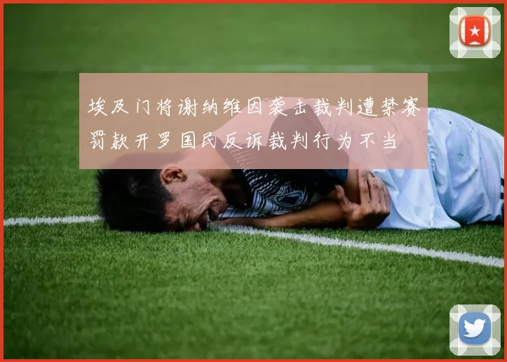 埃及门将谢纳维因袭击裁判遭禁赛罚款开罗国民反诉裁判行为不当