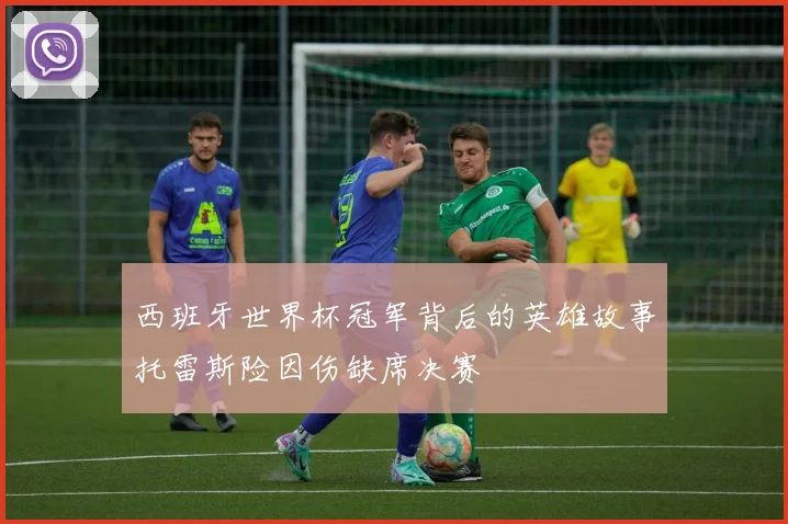 西班牙世界杯冠军背后的英雄故事托雷斯险因伤缺席决赛