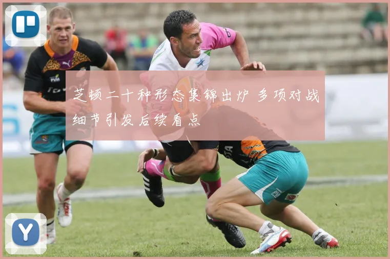 芝顿二十种形态集锦出炉 多项对战细节引发后续看点